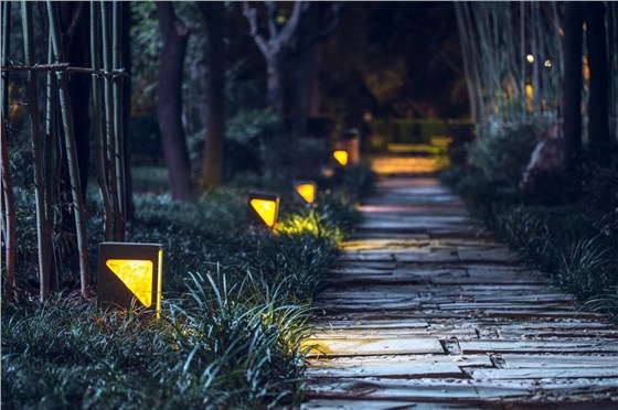 樹(shù)木亮化工程-4