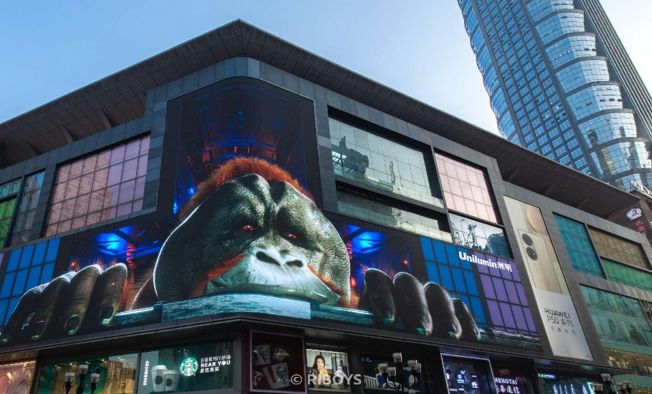 微信圖片_20231215114405